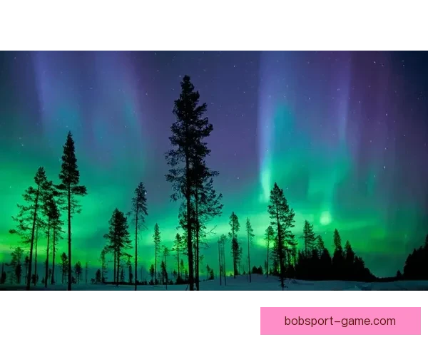 掌握世界杯竞猜比分规则技巧解析与实战策略全面指南